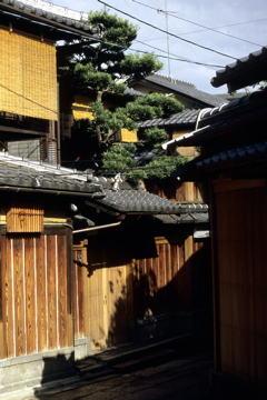 Ryokan Uemura